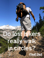 Anyone who has spent a lot of time in the woods has probably experienced a feeling of being turned around and lost. But, in that situation, do they really walk in circles?